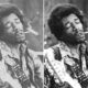 Bring Back Jimi Hendrix